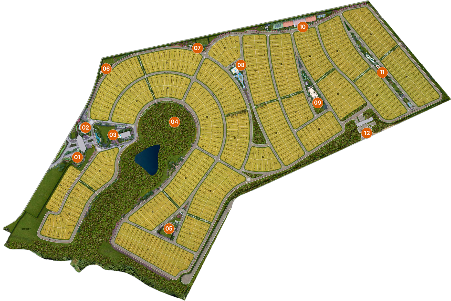 implantaÇÃo opus altana